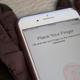 Image: Alex Cranz/Gizmodo